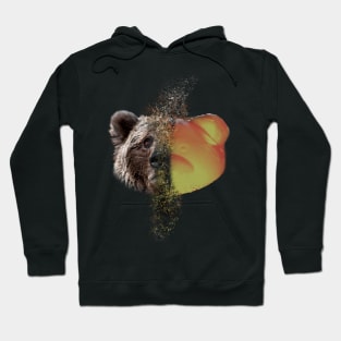 Double bear Hoodie